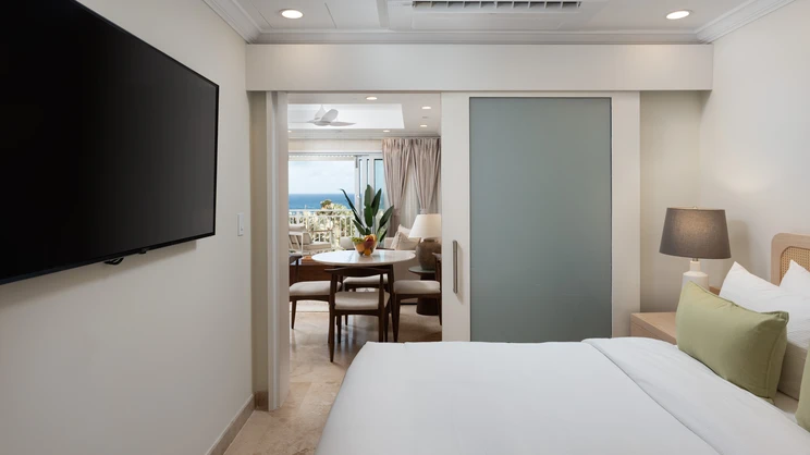 Junior Contemporary Suite with Plunge Pool